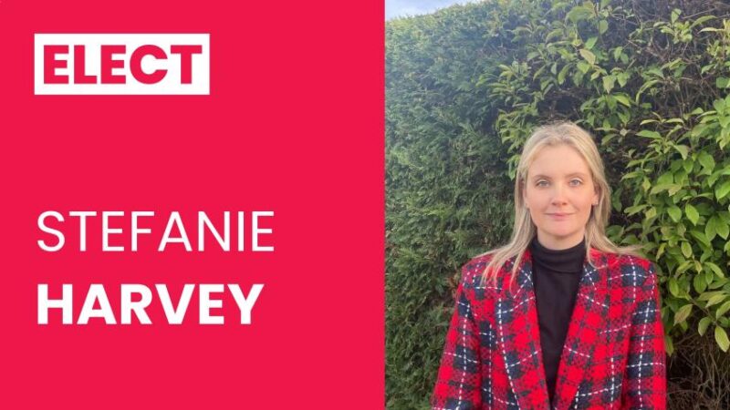 Elect Stef Harvey